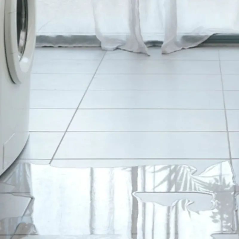 Appliance Leak Cleanup in Golden Gate, FL